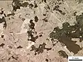 Granodiorit bei linear polarisiertem Licht