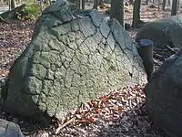 Ein Fels aus der Opfersteine-Gruppe auf der Juhöhe. Der Sage nach sind die Verwitterungsrisse die Kratzspuren des Teufels.