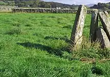 Newton Cairn