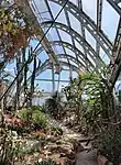 Graz Botanischer Garten, Sukkulentenhaus
