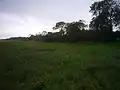 Blick vom Wattenmeer in südlicher Richtung auf das Grüne Kliff