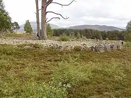 Grenish Ring Cairn