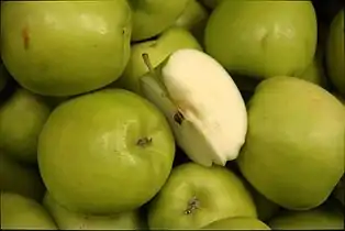 Nicogreen