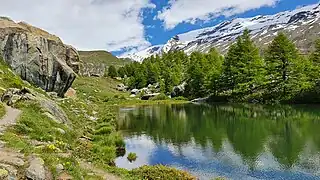 Wanderweg am Nordufer
