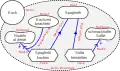 GRL-Diagramm