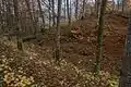 Nördlicher Wall und Vorgraben der Hauptburg