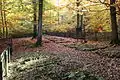 Oberer Friedhof (⊙50.39495833333310.596333333333)