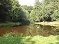 Der große Entenweiher
