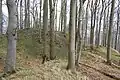 Plateau der größeren (nordöstlichen) Burg, mit Resten des Ringwalls