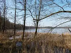 Uferblick Südseite