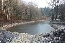 der wiederangelegte Teich unterhalb des Teichsteins