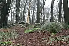 Großsteingrab Bliedersdorf 2
