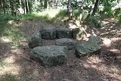 Das Großsteingrab Bollbrücke