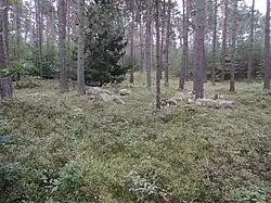 Großsteingrab Bruchtorf 1