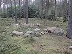 Großsteingrab Bruchtorf 1