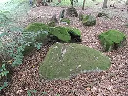 Großsteingrab Edendorf 1