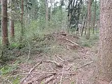 Großsteingrab Edendorf 7