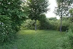 Der Große Silberberg