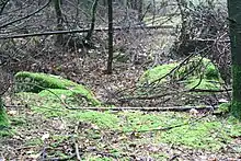Großsteingrab Heine 1