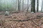 Großsteingrab Horneburg 1