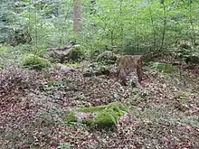 Großsteingrab Solchstorf 2