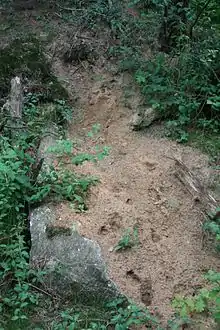 Großsteingrab Steden 3