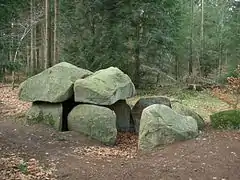 Großsteingrab Steinfeld 2