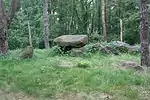 Großsteingrab Teufelssteine Voxtrup