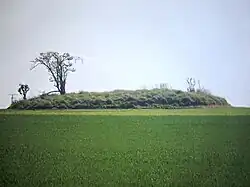 Großsteingrab Teutendorf 1