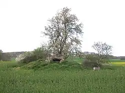 Großsteingrab Wilsen 2