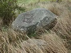Detailansicht 1