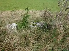 Detailansicht 2