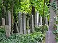 Neuer jüdischer Friedhof