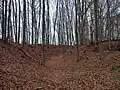 Frühere Siedlung der Golensizen