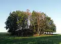 Ehemaliger Standort einer Wallburg (Turmhügelburg)