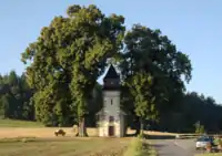 Die Kapelle in der markanten Baumgruppe nach dem Turmbrand