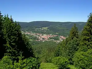 Großer Beerberg, Thüringer Wald