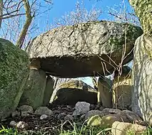 Großsteingrab Plaaz: Grabkammer mit Blick auf den westlichen Abschlussstein und die je drei Wandsteine auf der Nord- und Südseite (Blick nach Westen)