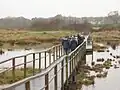 Naturschutzgebiet Marais de Séné