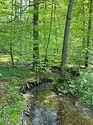 Grunder Bach an der Einmündung zum Morsbach