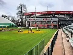 Neuer Rasen