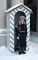 Winteruniform