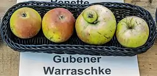 Vier Gubener Warraschken