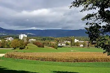 Goldhubel