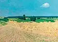 Sommerlandschaft