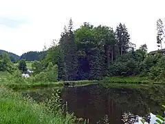 Burgfelsen von Norden. 2023