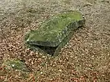 Kleine Steinkisten wie die von Bostället sind häufiger