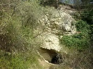 Der 2×3 m große Haupteingang der Höhlturmhöhle