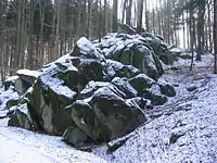 Granodioritfelsburg (Bügeleisengruppe) am Wald-Erlenbacher Hang des Höhnberges (375 m)