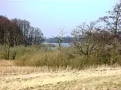 Seeblick